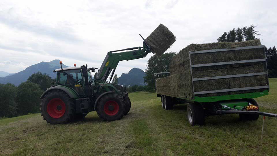 Travaux de pressage en Haute-Savoie